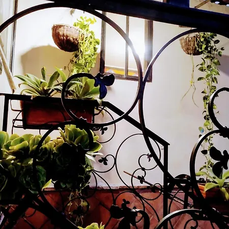 Black Stone Casa vacanze *