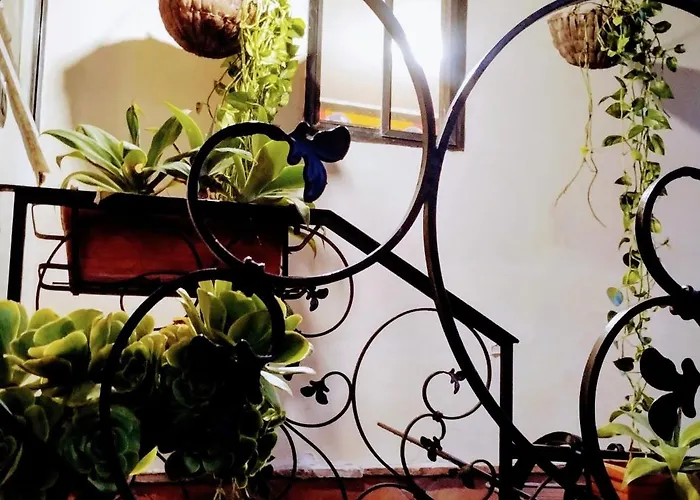 Black Stone Hébergement de vacances *